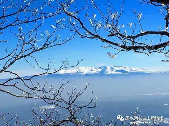 幻想乡大冒险3