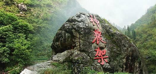 公主的夏季舞会